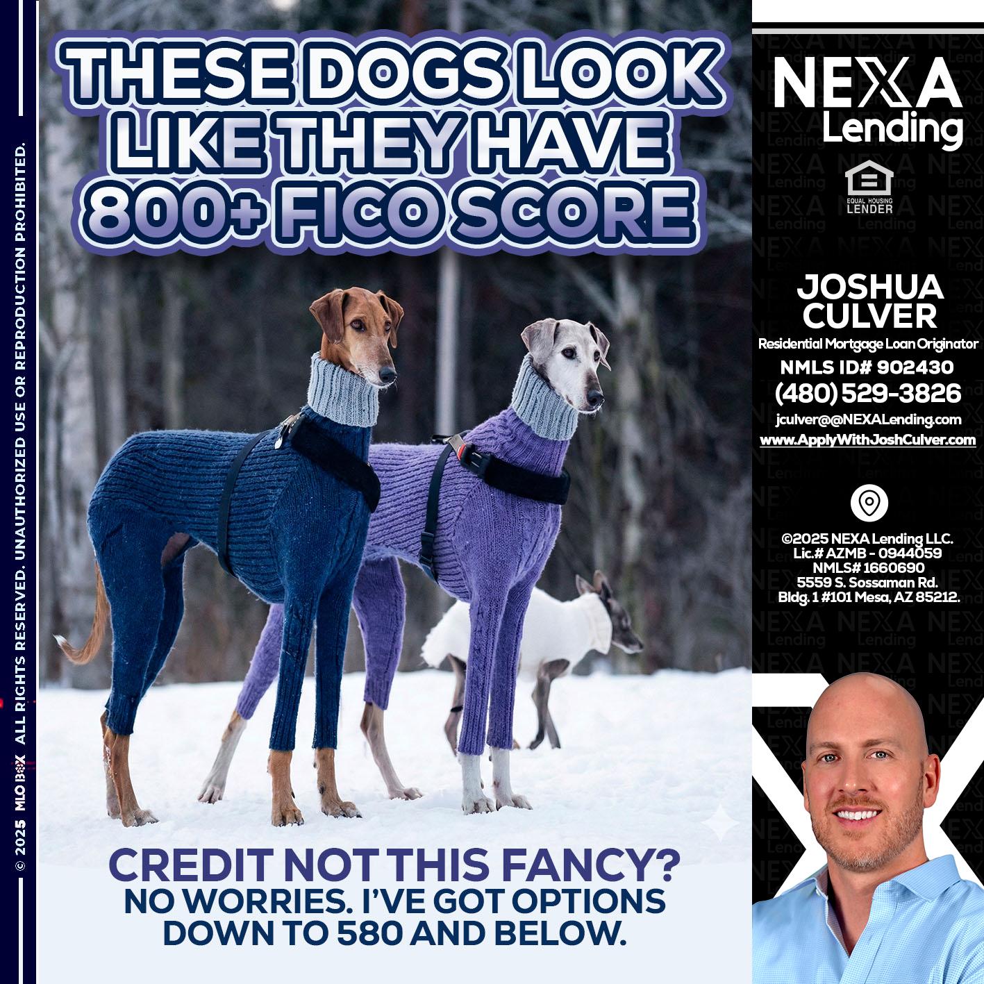 THESE DOGS LOOK - Joshua Culver -Residential Mortgage Loan Originator & Recruiter